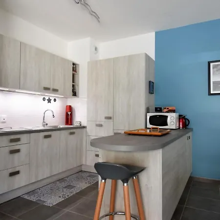 Apartment - T3 Calme Et Spacieux Avec Jardin Et Parking, Proche Port Et - Fr-1-420-49 Arcachon